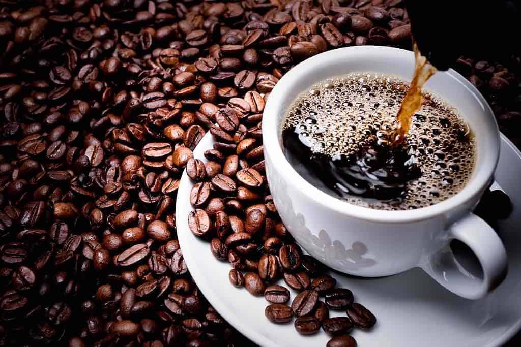 black coffee health benefits antioxidants